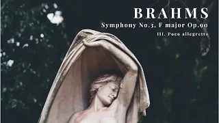 Johannes Brahms - Symphony No.3, F major Op.90 - III. Poco allegretto