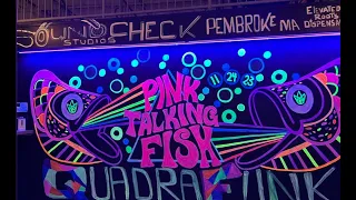 Pink Talking Fish - Mikes Groove 11-24-23