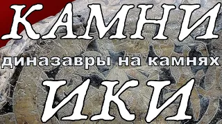 Камни Ики. Динозавры на камнях.