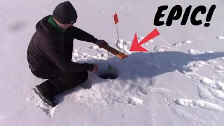 ICE Fishing With TIP-UPS For Big NORTHERN PIKE! (CATCH CLEAN COOK)