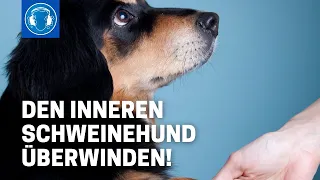 Den INNEREN SCHWEINEHUND überwinden!