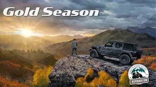 Gold Season with Jeep Ouray