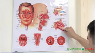 Отит: от чего он возникает и как его лечить?