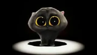 Cat singing song - Scatman John -  Ski Ba Bop Ba Dop Bop