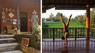 The Best Yoga Schools in Ubud, BALI | 🧘🌸 5 different Yoga Studios