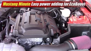 Mustang Minute: Easy power adding for EcoBoost