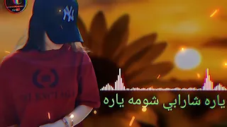 Yara Sharabi Shoma Yara Pashto New 2023 Song SLOWED REVERB song lyrics #viralvideos #view #video #vi