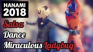 Miraculous Ladybug || SALSA Dance HANAMI 2018 LIVE || Shape of You