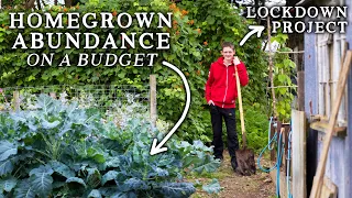 Impressive Vegetable Garden & Permaculture Food Forest Created During Lockdown!