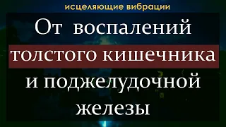 Исцеляющая музыка для здоровья толстого кишечника и поджелудочной железы