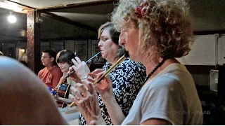 Joanie, Mary, Rose, Mary & friends: Pub Session: Catskills Irish 2015 #04