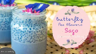 Sago Coconut Milk : The MOST PRETTY Butterfly Pea Dessert 😍