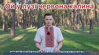 Ой у лузі червона калина - Ukrainian Patriotic Folk Song (Piano Cover)