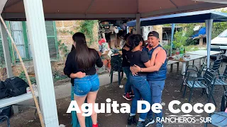 Aguita De Coco Los Rancheros Del Sur Hn