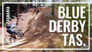 Mountain Biking in Blue Derby, Tasmania