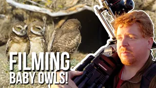 Filming Baby Owls! - Behind The Scenes of Wildlife Filmmaking