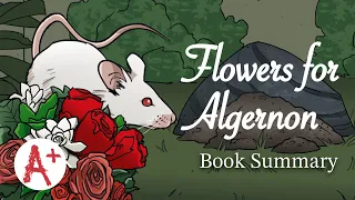 Flowers for Algernon - Book Summary