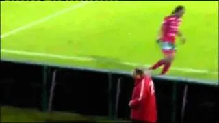 Un pato invadió un partido en el fútbol belga (Duck on soccer field)