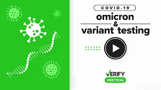 Omicron: What we know about the newest COVID-19 variant