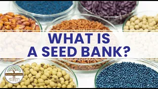 What Is a Seed Bank - Dynamic Earth Learning Science Video