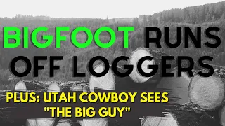 Tree Cutting Crew is Ran Off By Bigfoot! Plus - A Utah Cowboy's Story.