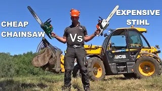 CHAINSAW TEST - CHEAP Vs EXPENSIVE!