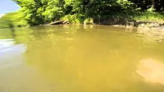 Octomask Test at Raystown Lake 6-7-14