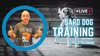 Live Q&A Session With Saro Dog Training