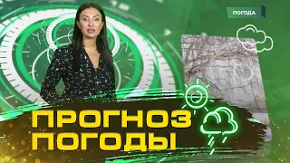 Прогноз погоды от Сабрины Максимовской на 29, 30, 31 января