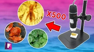 An Incredible PREHISTORIC INSECT 🔬 | Minerals and Gems Under the Microscope #2