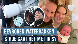 Hoe gaat het met Iris NA DE BEVALLING? + WINTER KLUSJES op stal || Vlogmas dag 16