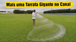 Mais uma Tarrafa Gigante no Canal