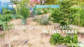 From Grass to Food Forest Garden in 2 years