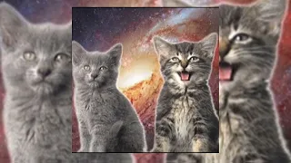 Space cats - Magic Fly (sped up)