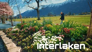 Interlaken,Switzerland 🇨🇭  walking tour 4K 60fps | Walking the Swiss Landscape"