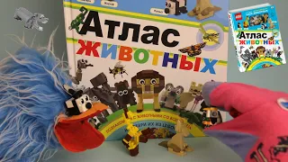 Lego книга Атлас животных, с набором LEGO из 60 элементов. Обзор.