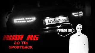 BSS-Chiptuning - Audi A5 3.0 TDi Sportback Schalter // Stage 2 ballert BRUTAL!!