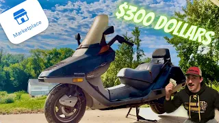 $300 Honda Helix Moped Will It Run?