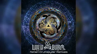 Liquid Bloom & Deya Dova - Resonant Migration (Drumspyder Remix)