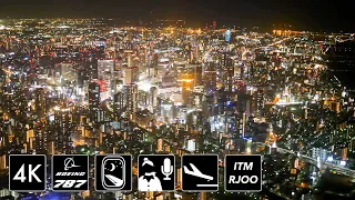 [25万回再生 4K国内線最高の夜景]  JAL3007便 大阪国際空港（伊丹空港）アプローチ [Osaka night view]