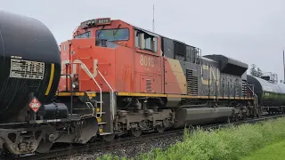 (DPU 8019) CN 397 - 8831/2585/5709 In Lynden Ontario