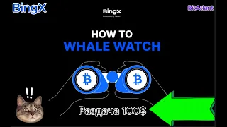 BTC 🔥🟢 Пробивается Выше $69,420 🟩🐉: + раздача 100$  на $72,000 #Биткоин #BingX #Crypto #Bitcoin 🔥