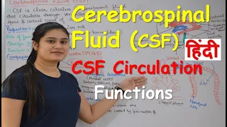 Cerebrospinal fluid in Hindi (CSF) | Functions | Production | CSF Circulation | Choroid Plexus