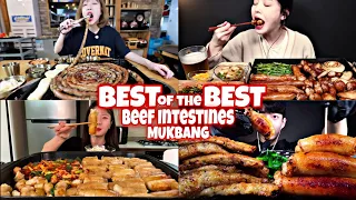 MOST Satisfying BEEF INTESTINES Mukbang EVER 🙀🤤🫣