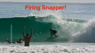 Firing Snapper Rocks!