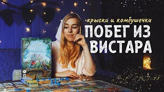 Побег из Вистара - не могу не думать о ней!