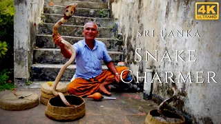 Snake Charmer 4k Cobra Dancing Flute Amazing Street Performer Sri Lanka