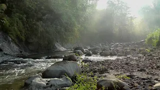 Soothing Chabad Jewish Music (50 minutes) מוסיקה לאווירה יהודית רגועה