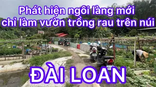 PHÁT HIỆN NGÔI LÀNG MỚI CHỈ LÀM VƯỜN TRỒNG RAU TRÊN NÚI ĐÀI LOAN-CUỘC SỐNG NÔNG THÔN THẬT YÊN BÌNH