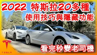 2022特斯拉20多種實用技巧與隱藏功能! 安築帶你變身Tesla老司機! 駕馭Model Y Model 3必看!